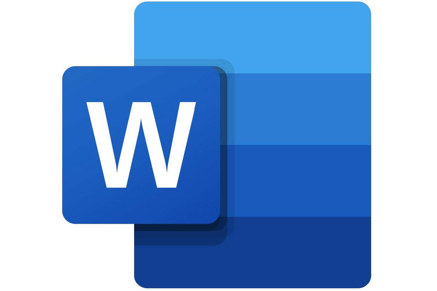 MS Word MS Word